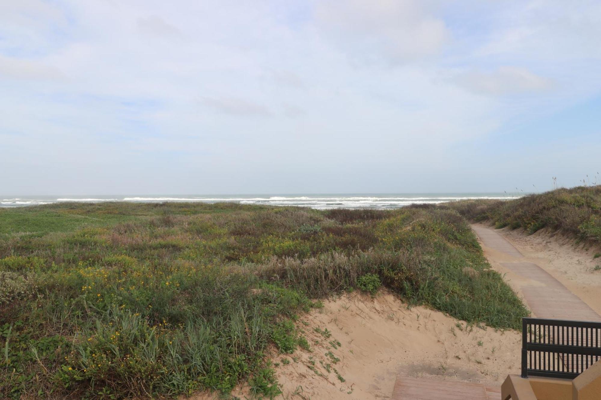 Bridgepoint Condominiums South Padre Island Dış mekan fotoğraf